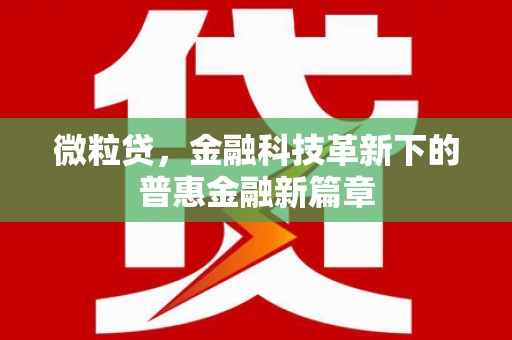 安吉微粒贷，金融科技革新下的普惠金融新篇章