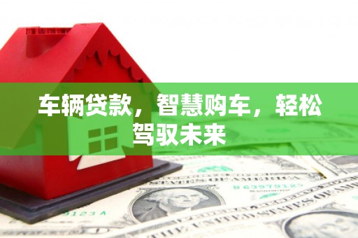 陆丰车辆贷款，智慧购车，轻松驾驭未来