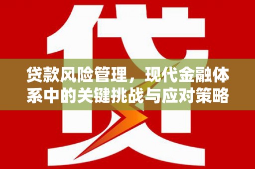黄岛贷款风险管理，现代金融体系中的关键挑战与应对策略
