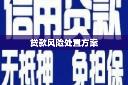 白塔贷款风险处置方案