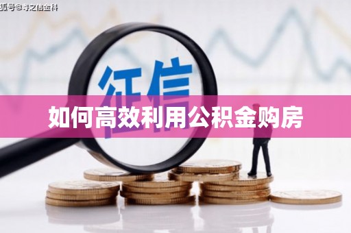 阿莲如何高效利用公积金购房