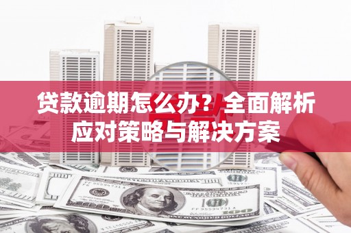 曹妃甸贷款逾期怎么办？全面解析应对策略与解决方案