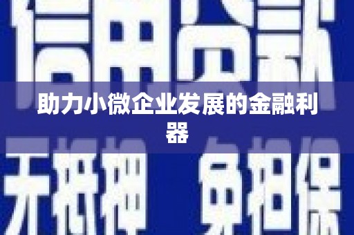 衢山助力小微企业发展的金融利器