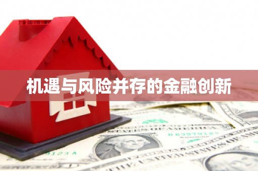 鹿草机遇与风险并存的金融创新