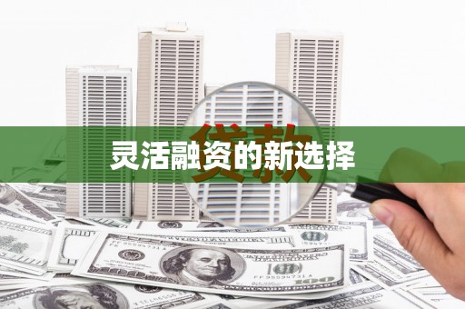 东方灵活融资的新选择