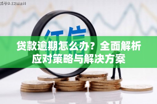 鸡冠贷款逾期怎么办？全面解析应对策略与解决方案