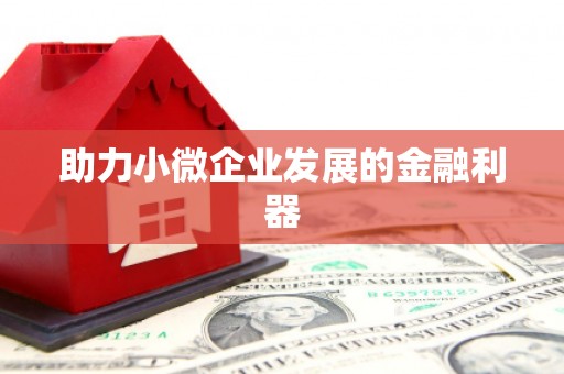 天桥助力小微企业发展的金融利器