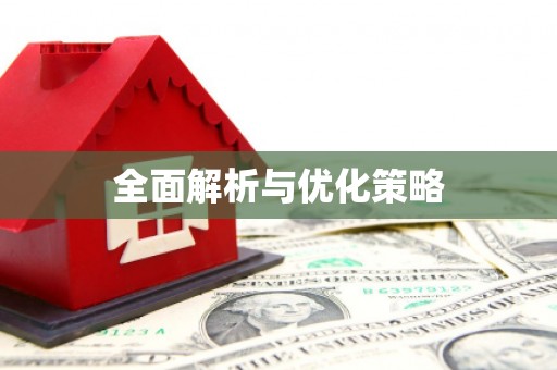 新泰全面解析与优化策略