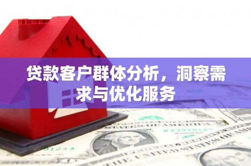雨花贷款客户群体分析，洞察需求与优化服务